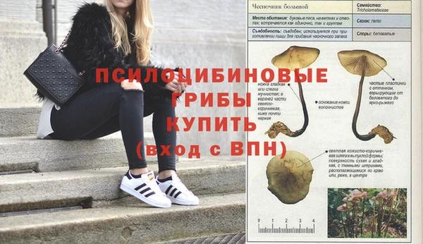 ПСИЛОЦИБИНОВЫЕ ГРИБЫ Заволжск