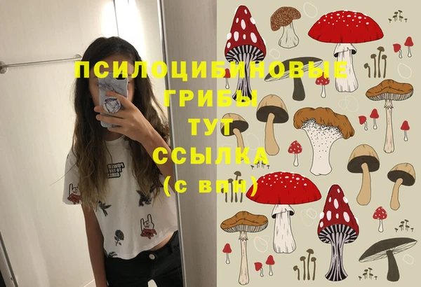 2c-b Заводоуковск