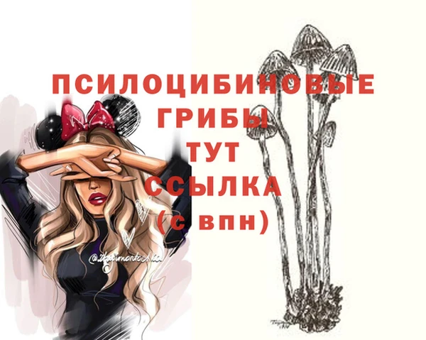 прущий лед Зеленокумск